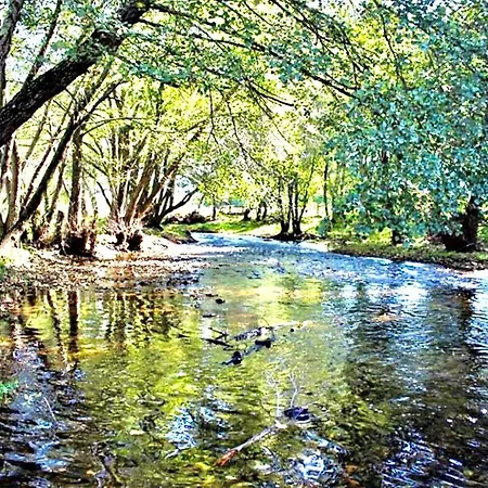 Сasa de vacaciones Olmos